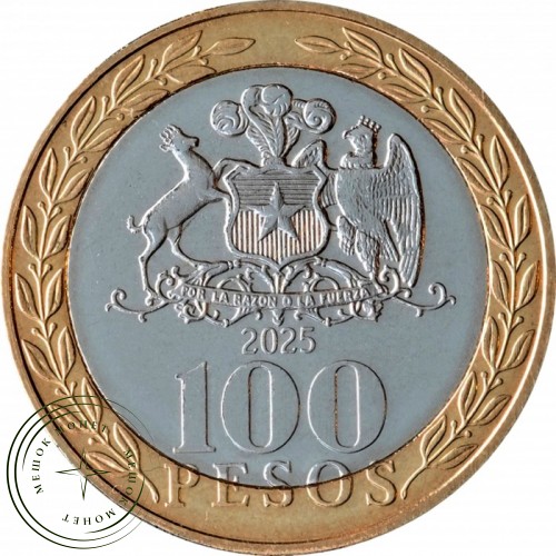 Чили 100 песо 2025