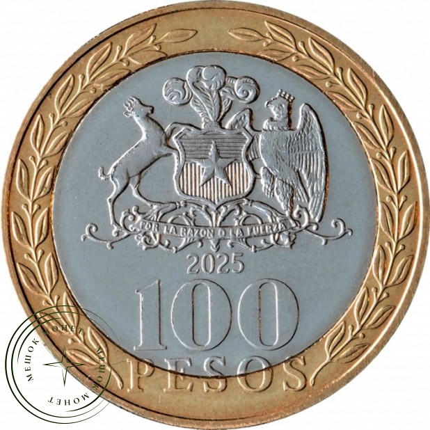 Чили 100 песо 2025 — 937046553