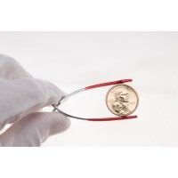 США 1 доллар 2004 Парящий орёл