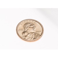 США 1 доллар 2004 Парящий орёл