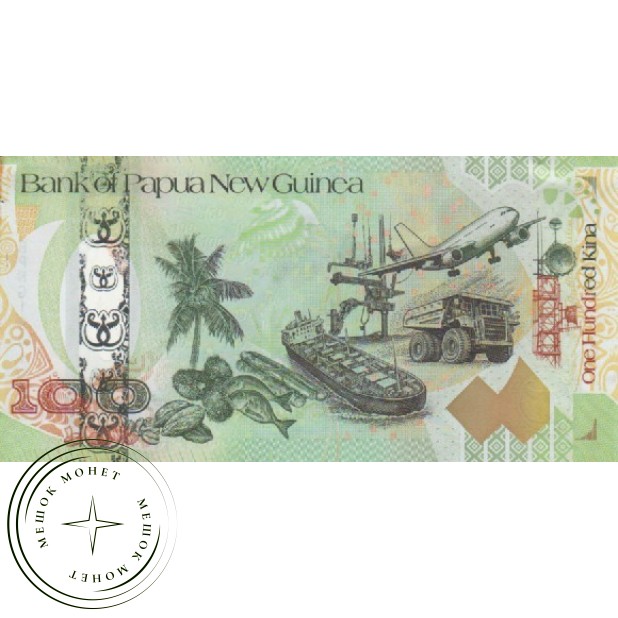 Папуа—Новая Гвинея 100 кина 2008