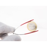 Монета 10 рублей 2016 Амурская область UNC