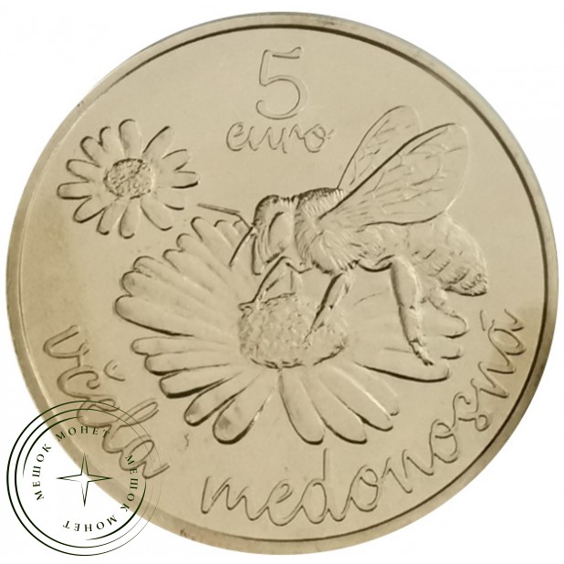 Словакия 5 евро 2021 Медоносная пчела - 937030572