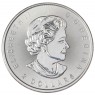 Канада 2 доллара 2017 Серый волк