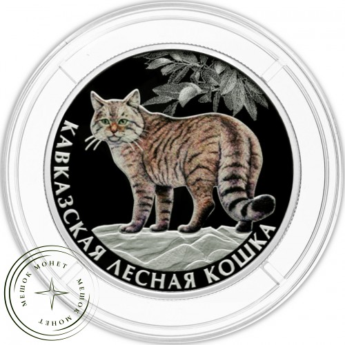 Набор монет 2 рубля 2026 Красная книга