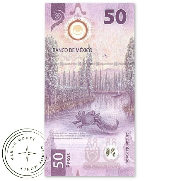 Мексика 50 песо 2024 100 лет Банка Мексики 1925-2025 — 937045569