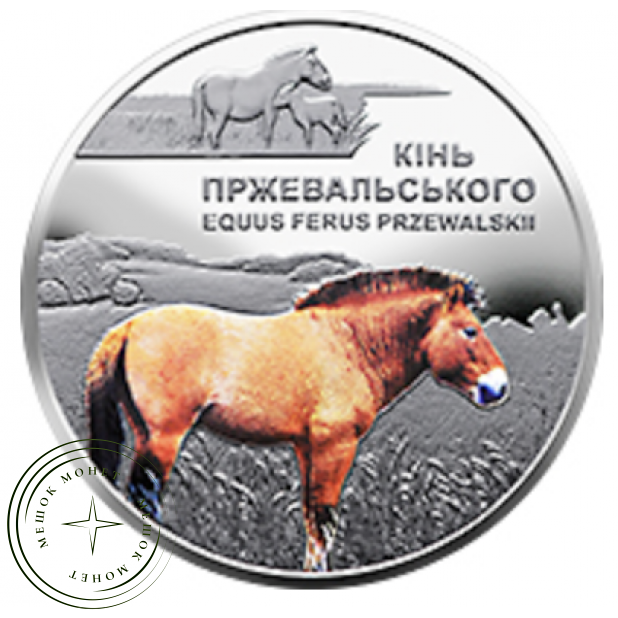 Украина 5 гривен 2021 Лошадь Пржевальского