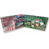 Япония годовой набор монет 2000 Никко Футарасан