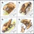 Марки Росомаха Выпуск по программе WWF Квартблок 2004