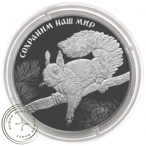 3 рубля 2023 Белка обыкновенная