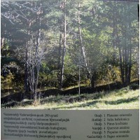 Набор монет Армении 2014 (6 монет в буклете)