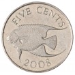 Бермудские острова 5 центов 2008