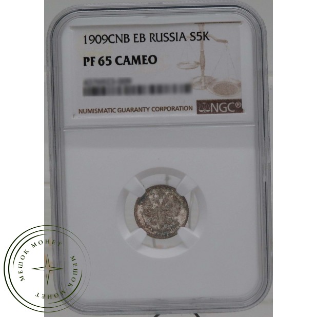 5 копеек 1909 CПБ ЭБ