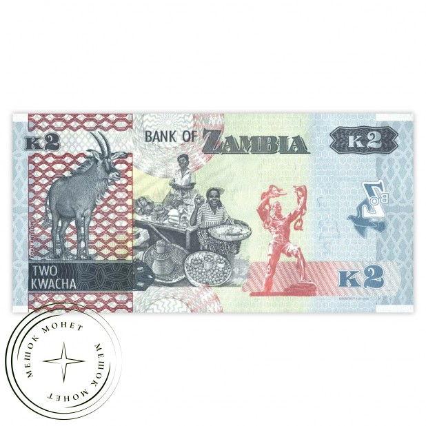 Замбия 2 квача 2020
