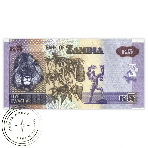 Замбия 5 квача 2020
