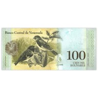 Банкнота Венесуэла 100 боливар 2017