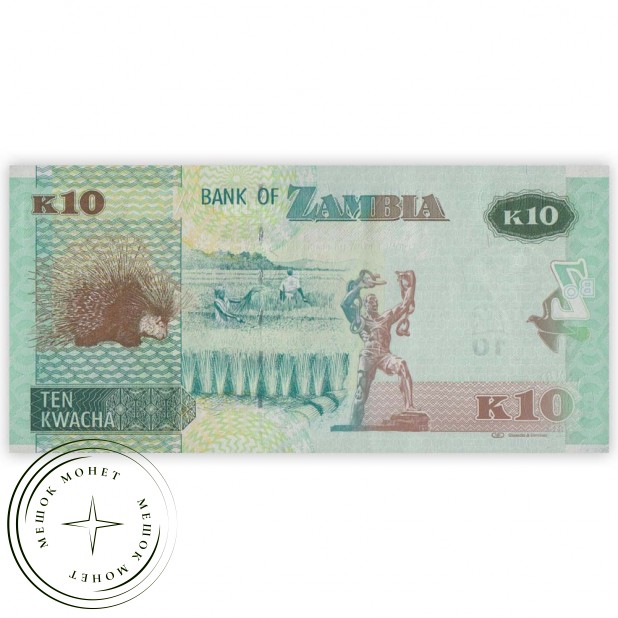 Замбия 10 квача 2014
