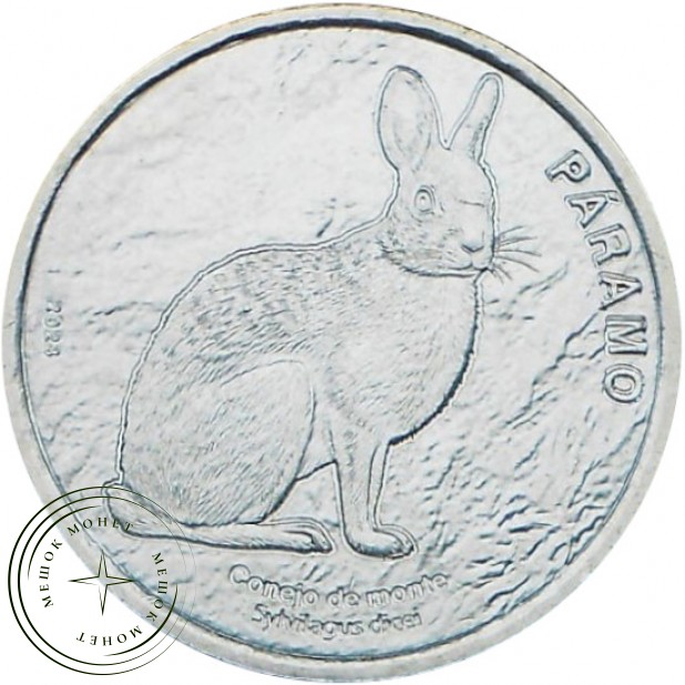Коста-Рика 50 колонов 2023 (2025) Горный кролик — 937046075