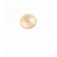 Монета 10 рублей 2013 ГВС Наро-Фоминск