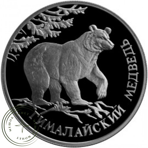 1 рубль 1994 Гималайский медведь — 24986225