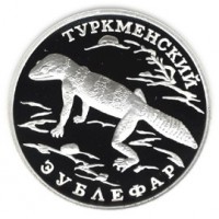 Монета 1 рубль 1996 Туркменский эублефар