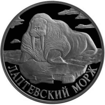 Монета 1 рубль 1998 Лаптевский морж