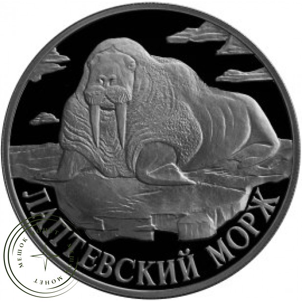 1 рубль 1998 Лаптевский морж