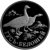 Монета 1 рубль 1998 Гусь-белошей
