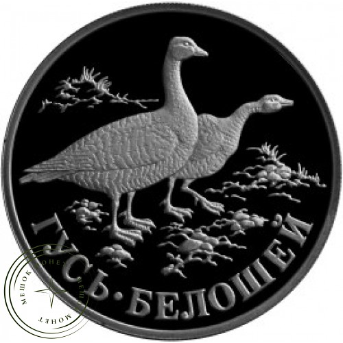 1 рубль 1998 Гусь-белошей — 24996663