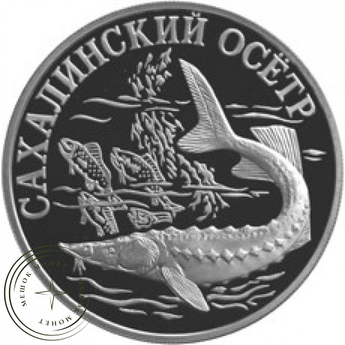 1 рубль 2001 Cахалинский осетр — 24996844