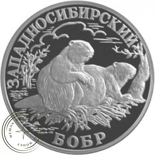 1 рубль 2001 Западносибирский бобр — 24997024