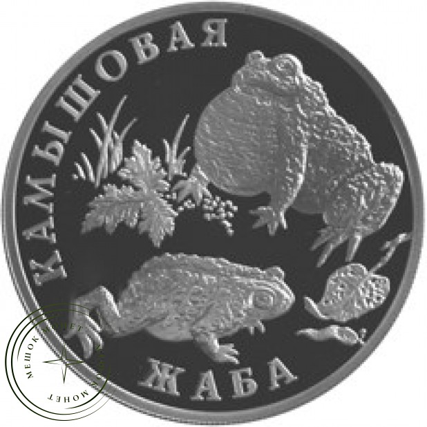 1 рубль 2004 Камышовая жаба