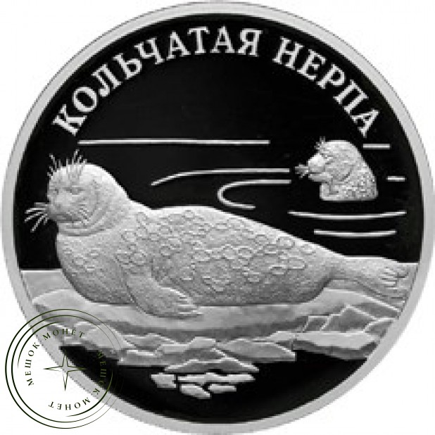 1 рубль 2007 Кольчатая нерпа (ладожский подвид)