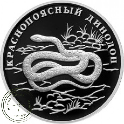 1 рубль 2007 Краснопоясный динодон — 25003874