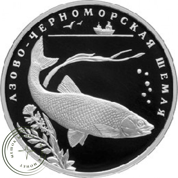 2 рубля 2008 Азово-черноморская шемая