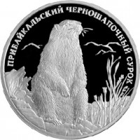 Монета 2 рубля 2008 Прибайкальский черношапочный сурок