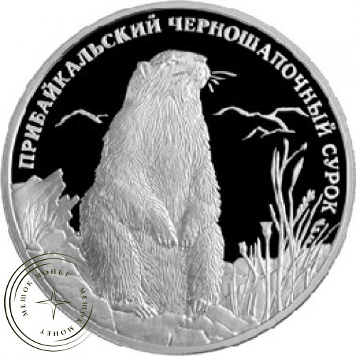2 рубля 2008 Прибайкальский черношапочный сурок — 25072189