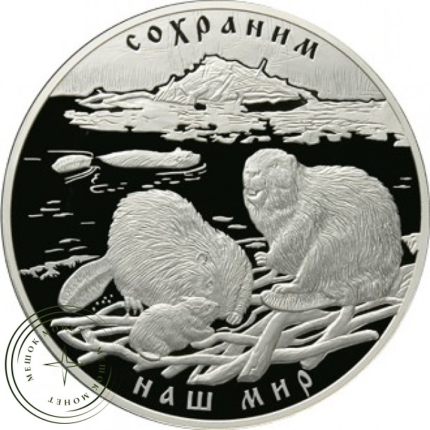 100 рублей 2008 Речной бобр