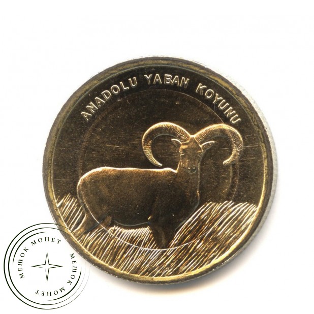 Турция 1 лира 2015 Анатолийская дикая овца