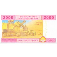 Банкнота Камерун 2000 франков 2002 Гибрид