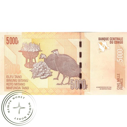 Конго 5000 франков 2005 — 42268196
