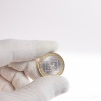 10 рублей 2009 Еврейская автономная область ММД