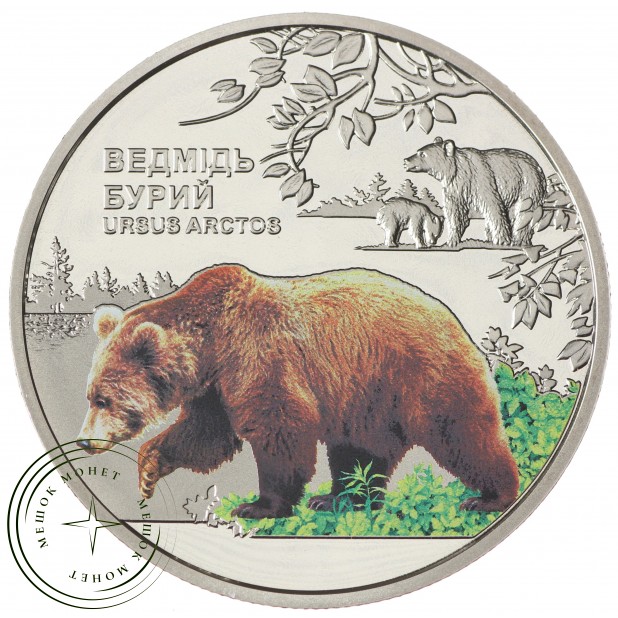 Украина 5 гривен 2022 Бурый медведь