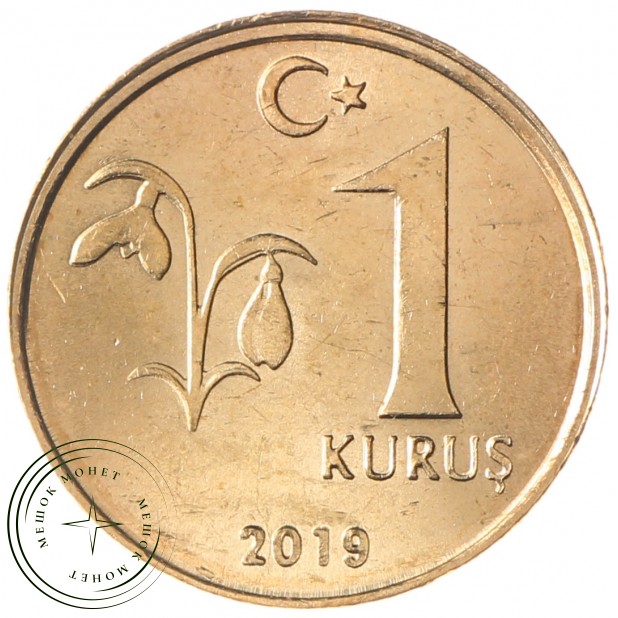Турция 1 куруш 2019