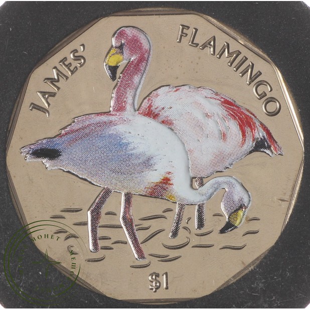 Британские Виргинские острова 1 доллар 2019 Фламинго - Фламинго Джемса