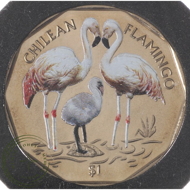 Британские Виргинские острова 1 доллар 2019 Фламинго - Чилийский фламинго