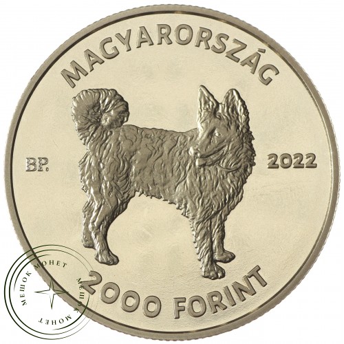 Венгрия 2000 форинтов 2022 Hungarian Dog Breed - Mudi