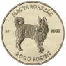 Венгрия 2000 форинтов 2022 Hungarian Dog Breed - Mudi