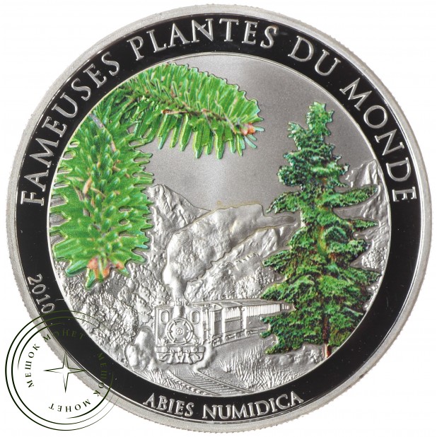 Бенин 100 франков 2010 Знаменитое растение - Пихта (Abies Numidica)