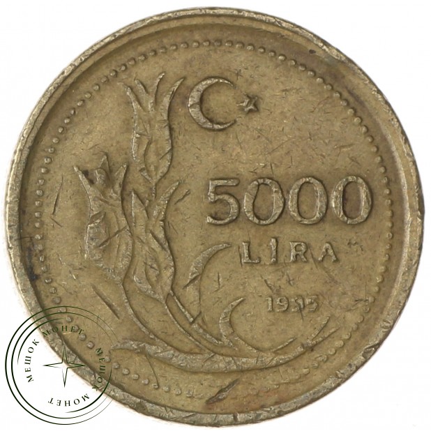 Турция 5000 лир 1995